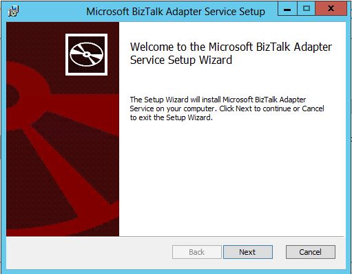 window for BizTalk Adapter Service setup