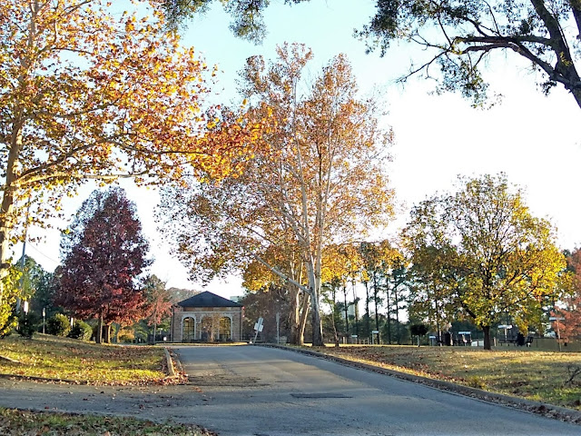 A walk in the neighborhood. Glen Iris Neighborhood, George Ward Park. Birmingham, Alabama. December 2020. Credit: Mzuriana.