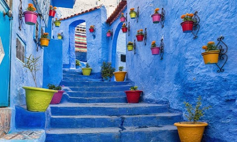 Amazing Fez to Chefchaouen Day Trip