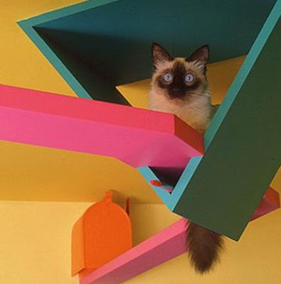 Awesome Cat-Friendly House Design 5