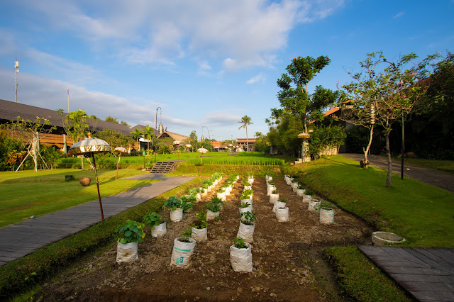 Alaya Ubud Resort, Ubud-Bali