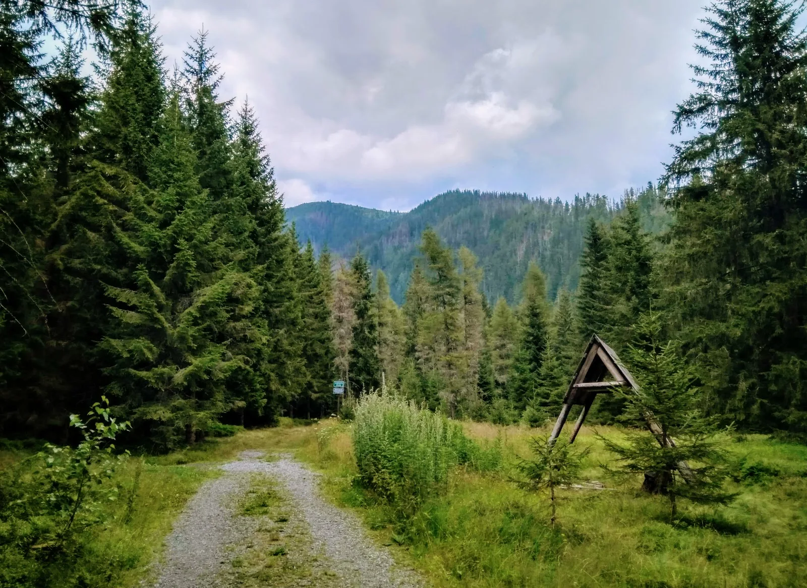 Tatry. Tatry Zachodnie. Główna grań Tatr. Szczyty Tatr. Bystra. Najwyższy szczyt Tatr Zachodnich. Bystra wejście od strony słowackiej. Lato w Tatrach. Łatwe szczyty w Tatrach.