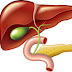 Natural Remedies, Nutrition and Supplements for Gallbladder Health.