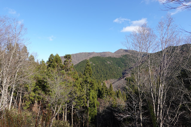 岡山県真庭市の蒜山下徳山 蒜山大山スカイライン