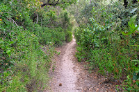 Sendero PR-C36 de la Ermita a la Urbanización les Roquetes