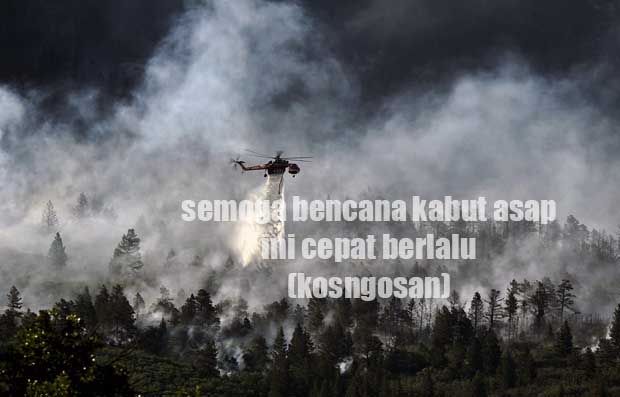  Kata kata  Bijak  Tentang Asap Kebakaran Hutan  yang Melanda 