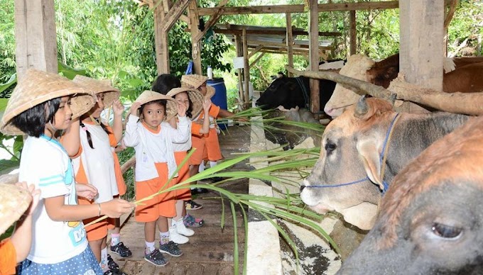 Wisata Ternak Kandang Macan : Macan Tutul Pemangsa Ternak Warga di Karanganyar Masuk ... : Jalani hidup ini dengan apa yang anda yakini.