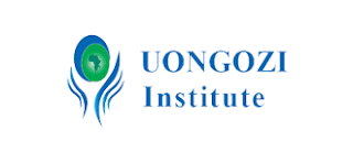 Communications Manager (CM)  Job Vacancies at UONGOZI Institute, January 2023
