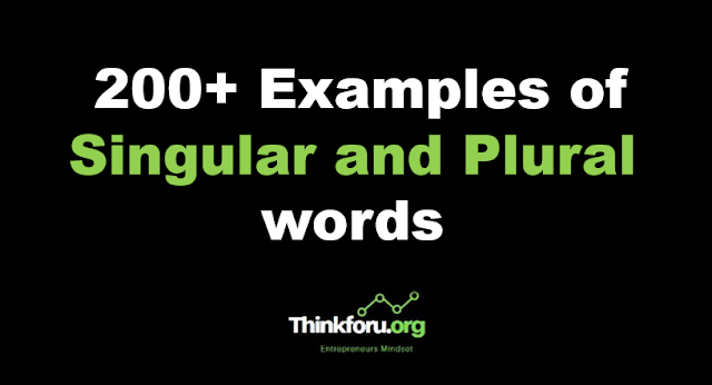 Cover Image of 200+ Examples of Singular and Plural words