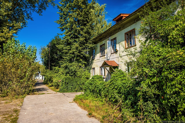 Пешеходная дорожка вдоль кустарника и здания