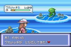 pokemon deneb procyon screenshot 13