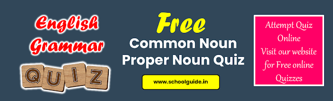 Common Noun Proper Noun Quiz