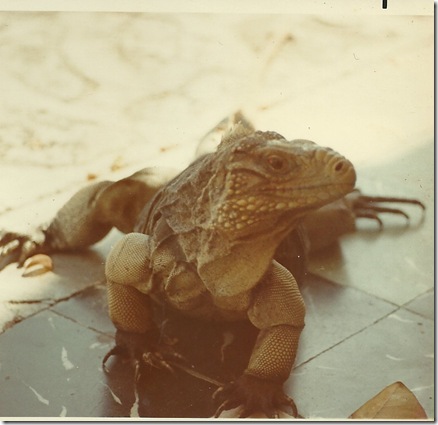 scans GITMO 011