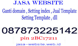 Jasa setting domain