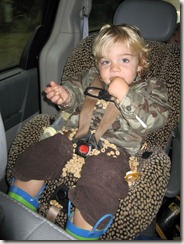 boodlecarseat