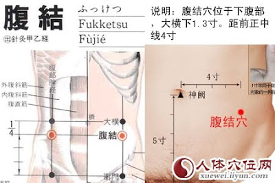 腹結穴位 | 腹結穴痛位置 - 穴道按摩經絡圖解 | Source:xueweitu.iiyun.com