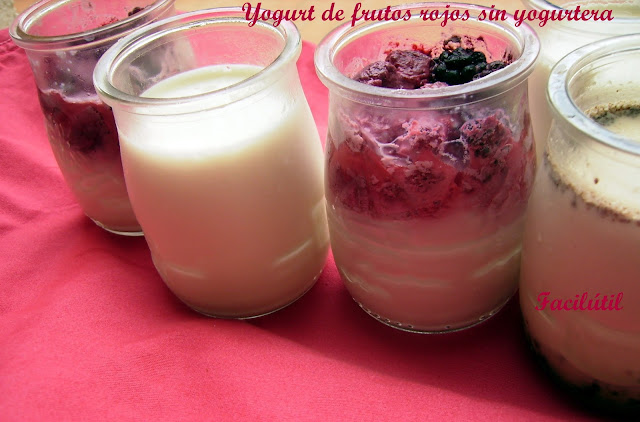 yogurt-sin-yogurtera-con-frutos-rojos