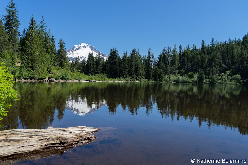 Mt. Hood National Forest Mirror Lake Trail 5 Great Hikes in Oregon’s Mt. Hood Territory