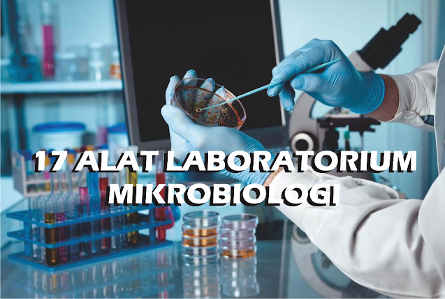 Pengenalan Dan Fungsi Alat Alat Laboratorium Mikrobiologi