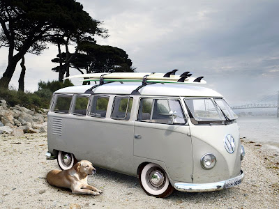 Kombi website of enormous variety illustrates just how incredibly versatile