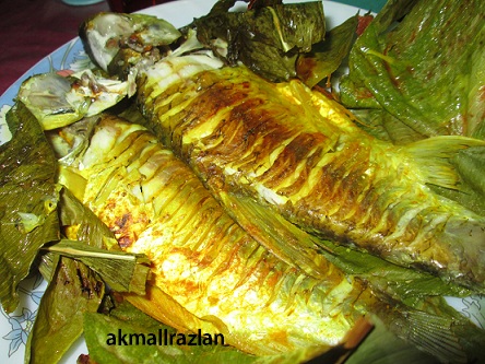 New Interesting Manuscripts: Ikan Lampam Jawa Bakar Dengan 