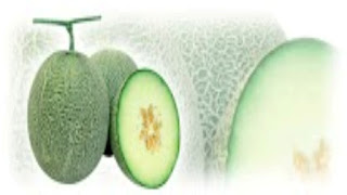 Jenis Melon Varietas Manis yang wajib anda ketahui