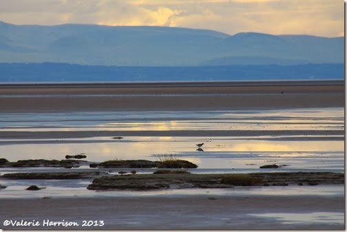 19-Solway-view