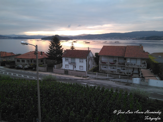 Raxó (Pontevedra).