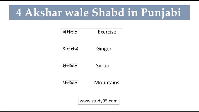 4 Akshar wale Shabd in Punjabi - Study95