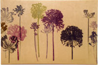 amanda ross, botanical print