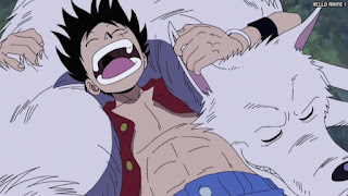 ワンピース アニメ 空島 スカイピア 167話 ルフィ Monkey D. Luffy | ONE PIECE Episode 167 Skypiea