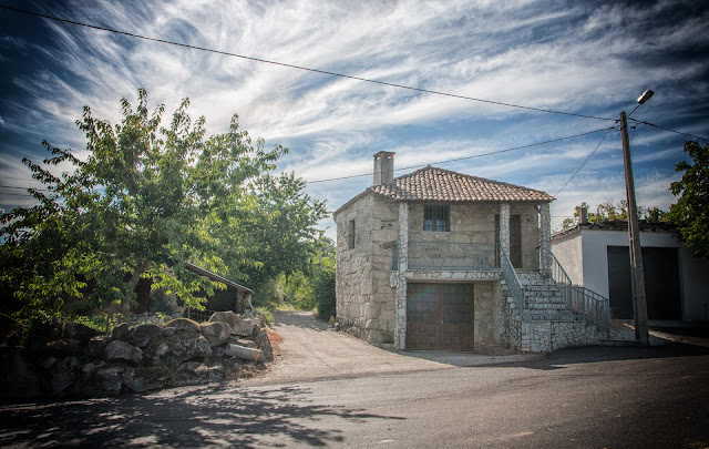 Pinheiro Velho portugal