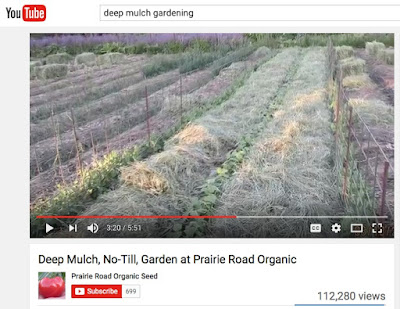  Click to watch our video on Deep, Mulch, No-Till Gardening