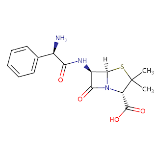 Struktur kimia obat antibiotik ampicillin ampisilin