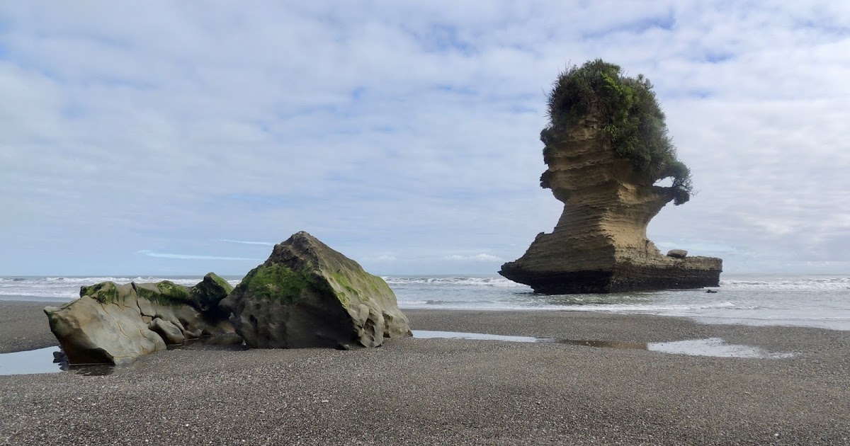 THE ROAD TAKEN : Prime Minister Jacinda Ardern bans new ...