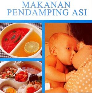 Makanan Pendamping ASI Makanan bayi umur  4 6 bulan  