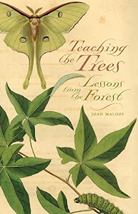 Teaching the Trees: Lessons from the Forest