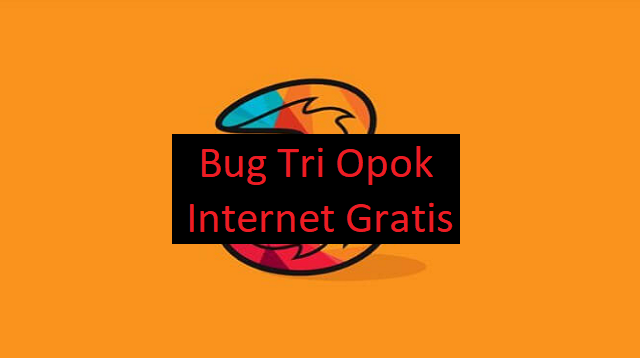 Bug Tri Opok