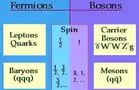 Fermions and Bosons : Particles Which Make The Universe