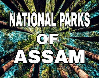 Best National Parks in Assam for Tourists