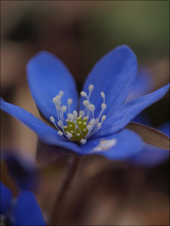 P5078758