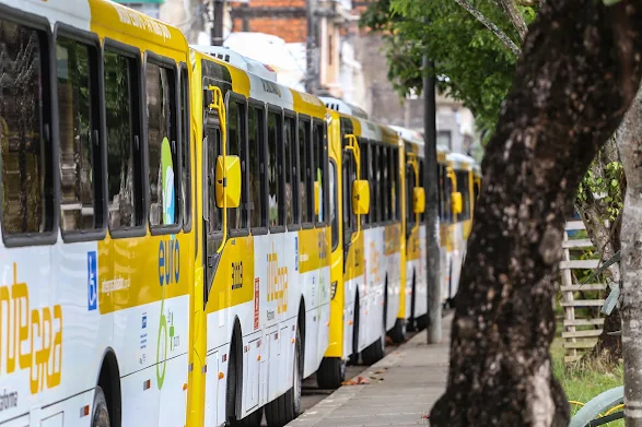 Salvador: Linhas de ônibus passarão por adaptações e terão aumento de 36% em viagens diárias
