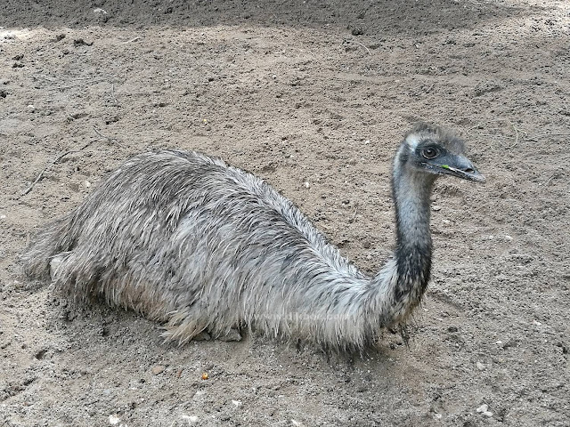 Tarikan Terbaru Dan Menarik Di Lost World Of Tambun