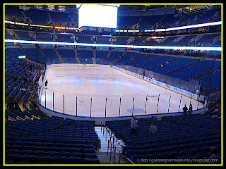 arena at St. Pete Forum, Tampa, Florida