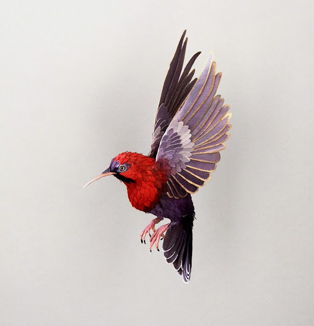 3d colourful paper birds sculptures by Diana Beltran Herera