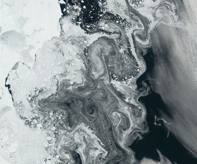 Cryosphere:Earth’s Icy Extremes Seen From Space Seen On www.coolpicturegallery.net