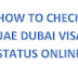 HOW TO CHECK UAE DUBAI VISA STATUS ONLINE 