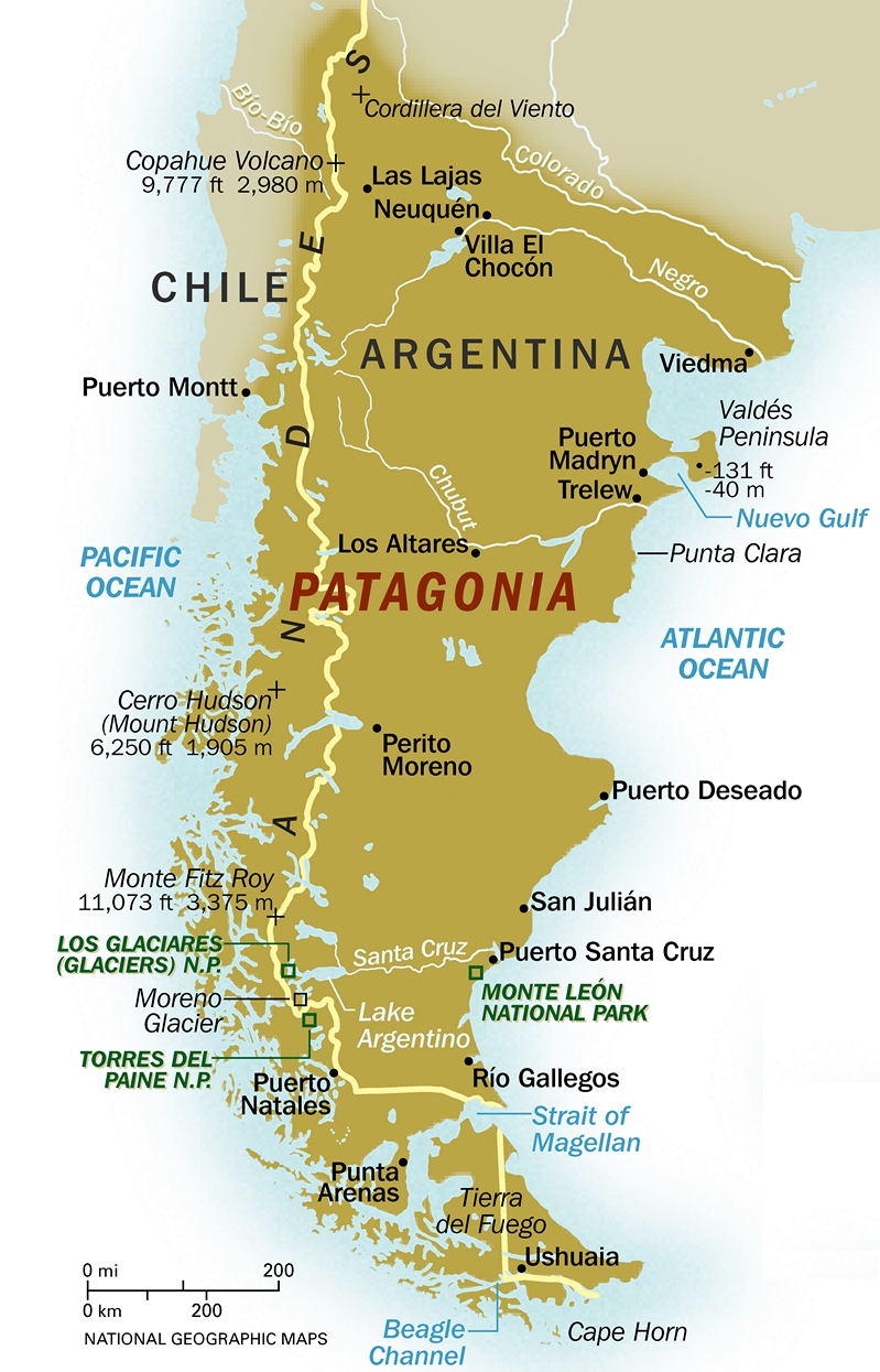 Man s Man Buy Guide Land of Giants Patagonia