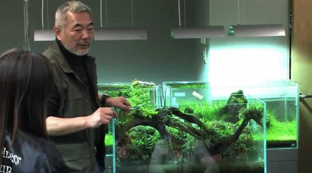 TAKASHI AMANO - TWÓRCA AKWARYSTYKI NATURALNEJ - Aqua Design Amano - AQUASCAPING - AKWAPASJA