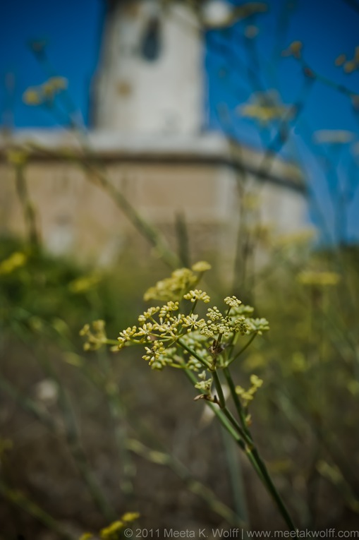Malta 2011 (0087) by Meeta K. Wolff